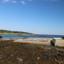 Athenaeum Excursion to Wood Island