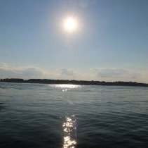 Athenaeum Excursion to Wood Island