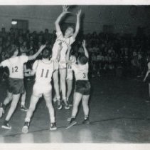 Haven School Basketball Team