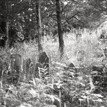 Portsmouth Graveyard, Portsmouth Historic District Survey