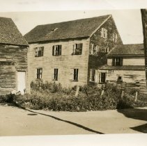 Puddle Duck Neighborhood