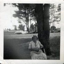 Picnic at Dover Point