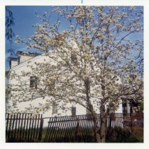 Wentworth-Winebaum House