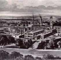 Morley Button Company