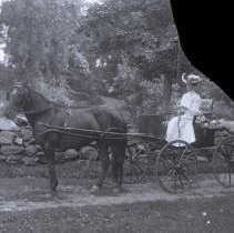 Negative, Glass Plate