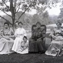 Negative, Glass Plate