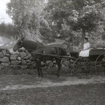 Negative, Glass Plate