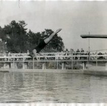 Diver Helen Wainwright