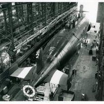 Album of Frederick S. White: Sandlance