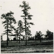 Sandy Wash Plain near Kennebunk