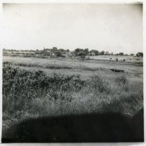 Salt Marsh and Abandoned Beach