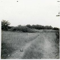 Terrace Showing Actions of Waves