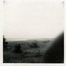 Saltmarsh Formed by Deposition of Silt