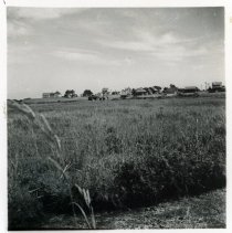 Summer Cottages at Wells Beach