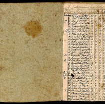 Henzell's Island Inoculation Ledger, 1782