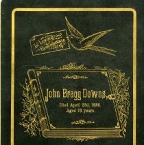 Downs Family Records