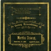 Downs Family Records