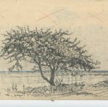 Rye, New Hampshire 1929