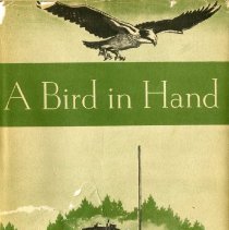 A Bird in Hand