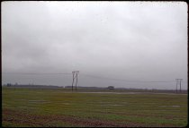 Field near Coburg, Oregon