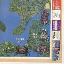 Supplement, Newspaper