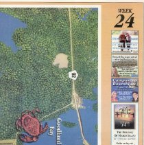 Supplement, Newspaper