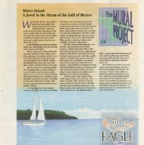 Supplement, Newspaper