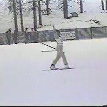 1989/1990 FIS Freestyle Skiing World Cup