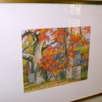 Yellow Springs Village