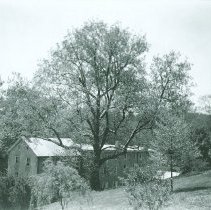 Rear of Washington Building