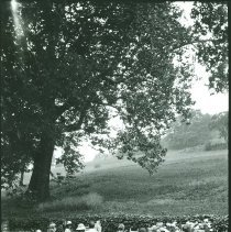 Carles painting class