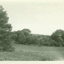View from Tennis Court