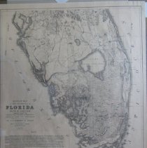 Military map of the Peninsula of Florida South of Tampa Bay.Drawn by Lieut. J.C. Ives, Top. Engineer. Dimensions: 24" x 17"