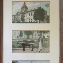 Postcards of Tallahaase