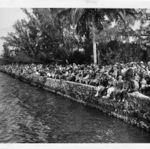 Crowd on the seawall