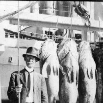 2015-003-011-a-204.jpg - Arcadia