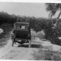 2015-003-011-a-210.jpg - Automobiles