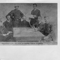 Punta Gord City Council