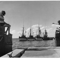 2015-003-011-a-377.jpg - Boats