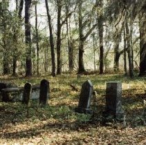 2015-003-011-a-694.jpg - Cemetery, Peeples, Hamilton County
