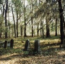 2015-003-011-a-688.jpg - Cemetery, Peeples, Hamilton County