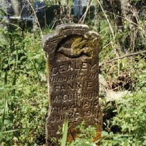 2015-003-011-a-689.jpg - Cemetery, Peeples, Hamilton County