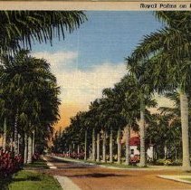 2015-003-011-c-149.jpg - Punta Gorda