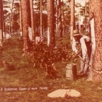 2015-003-011-d-573.jpg - Turpentine Still - digger at work