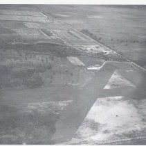 2015-003-011-e-094.jpg - Punta Gorda Flower Farm