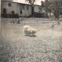 Photo595875057234_inner_445-367-691-367-445-613-714-621 (2)