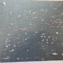 Img_1629 Swimming the Bay  Freedom Swim