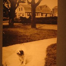 90 Buckland Road, with a dog on the sidewalk
