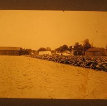 Shepard Farm water tower, house and farm