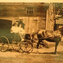 Albertus Jones in a horse cart